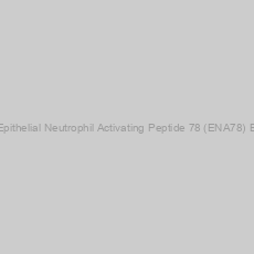Image of Human Epithelial Neutrophil Activating Peptide 78 (ENA78) ELISA Kit